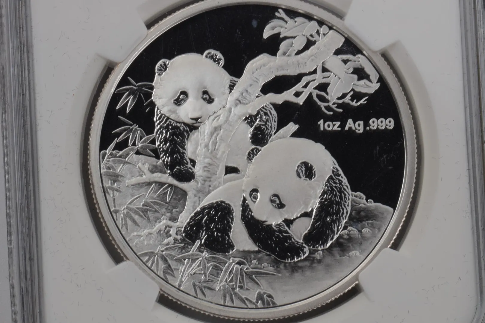 2013 Panda Coin 999 Silver (31.10g.)