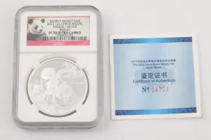 2013 Panda Coin 999 Silver (31.10g.)