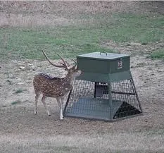 400 lbs Deer Feeder