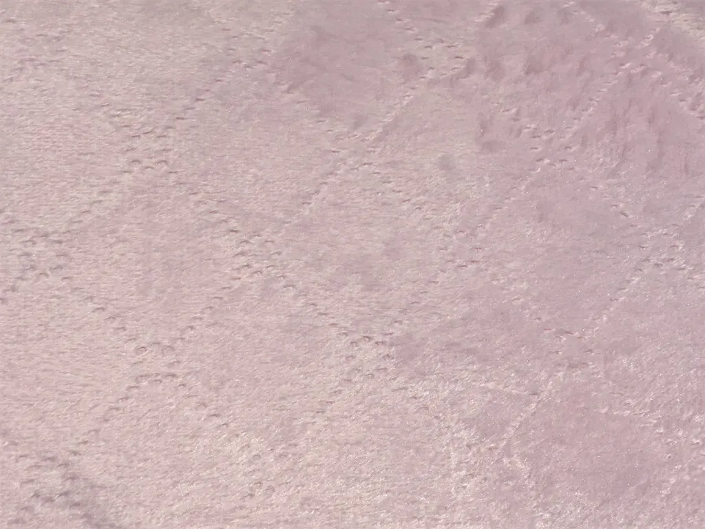 Baby Nana's Quilt