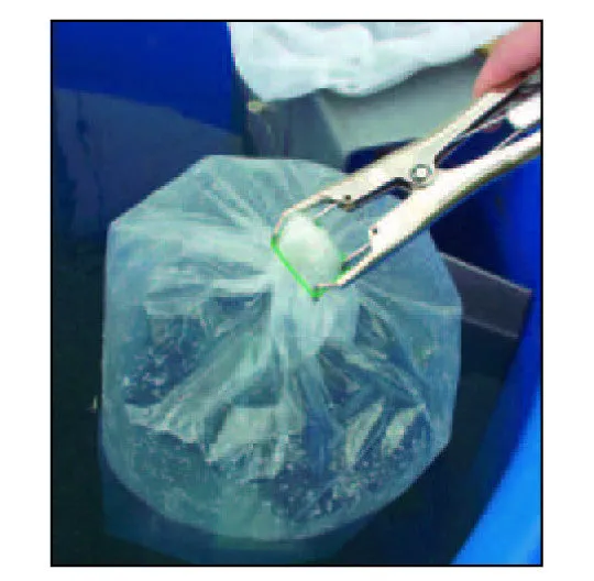 Fish Bagging Bands