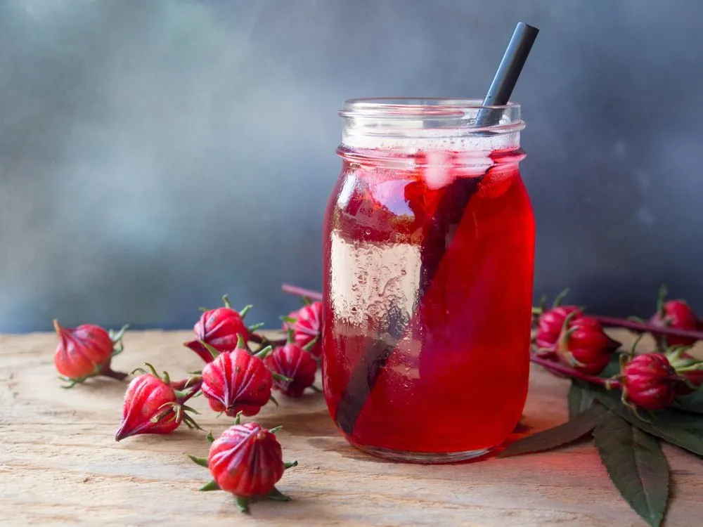 Iced Tea Pouch Bundle (makes 64 quarts!)