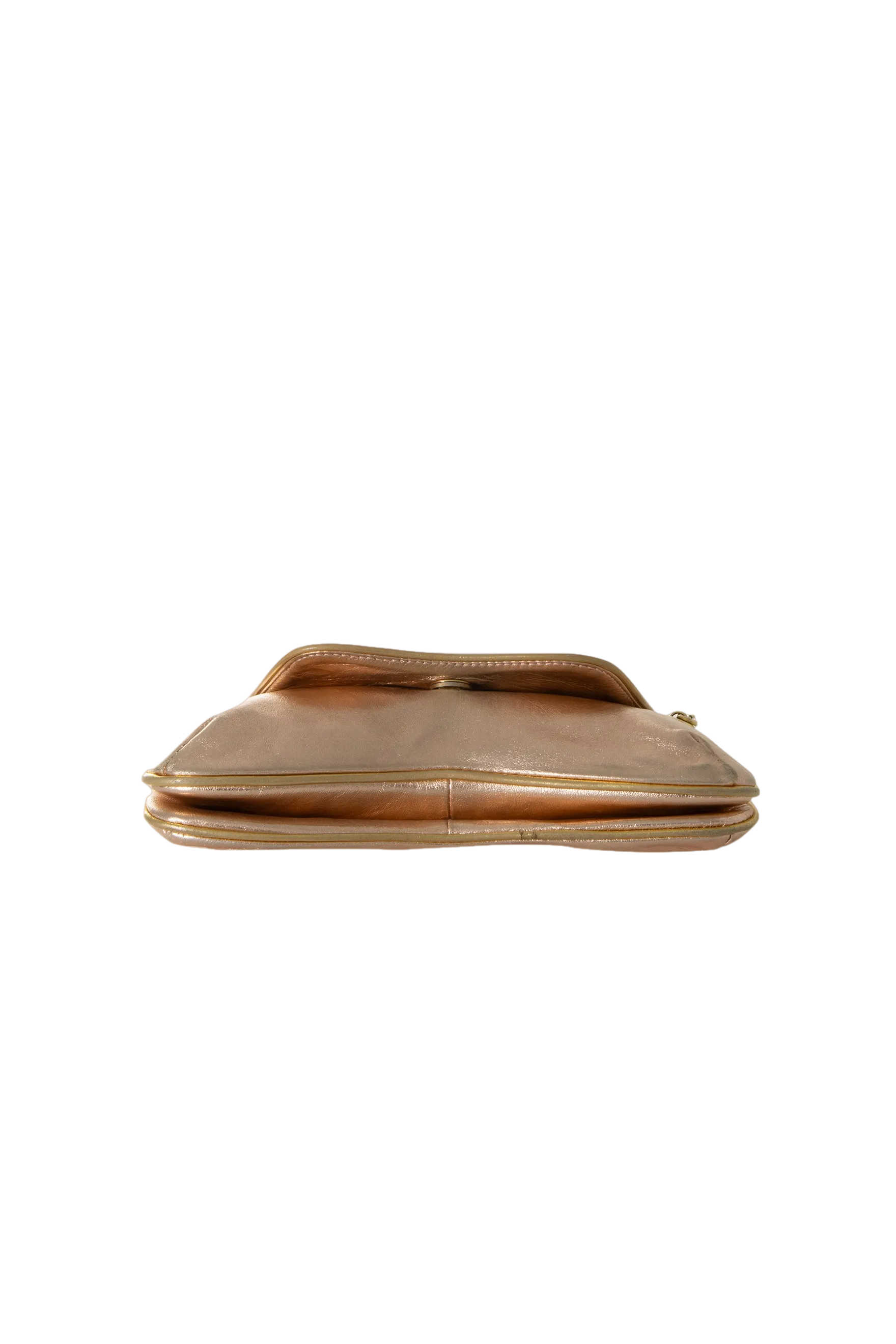 Metallic Bag