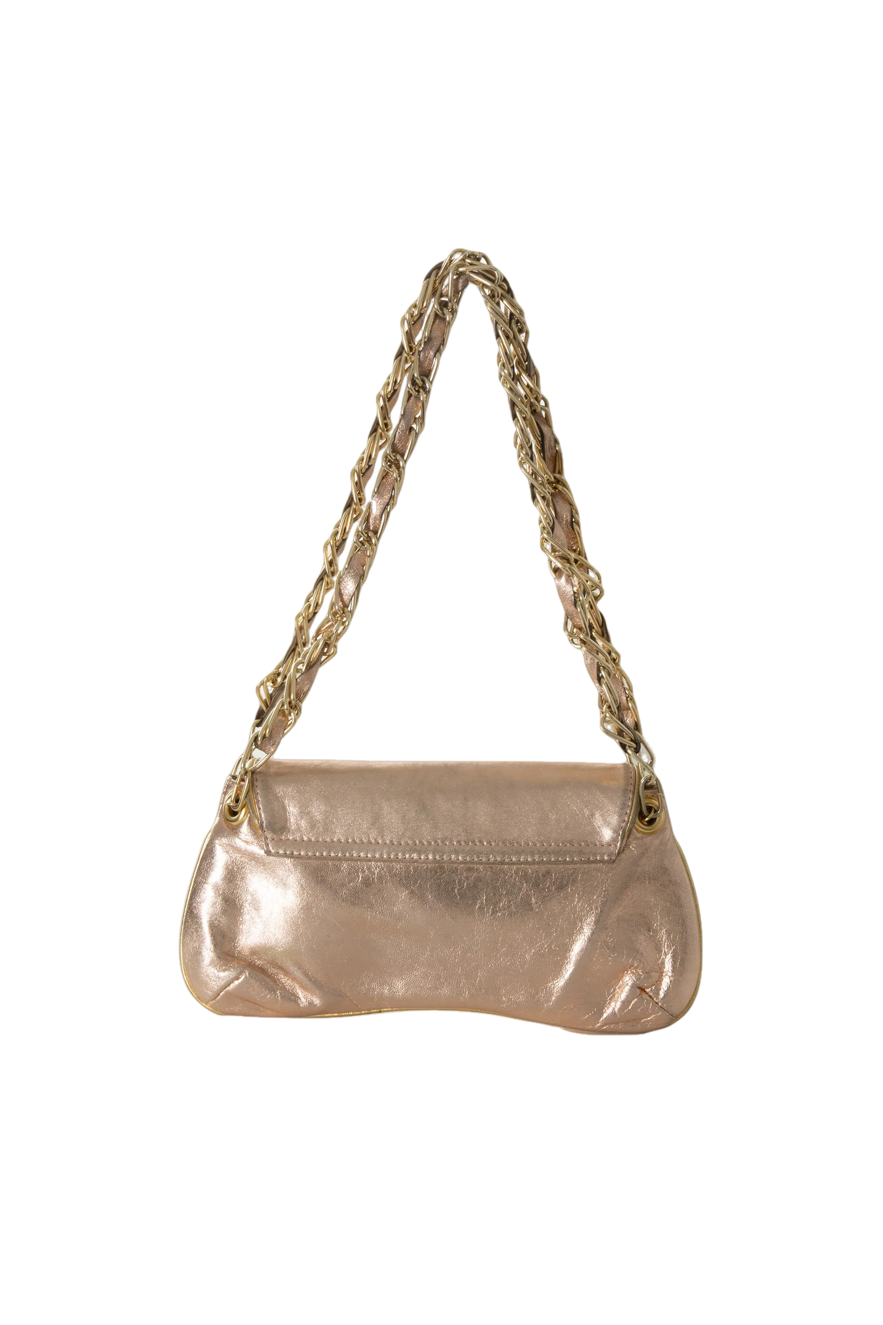 Metallic Bag