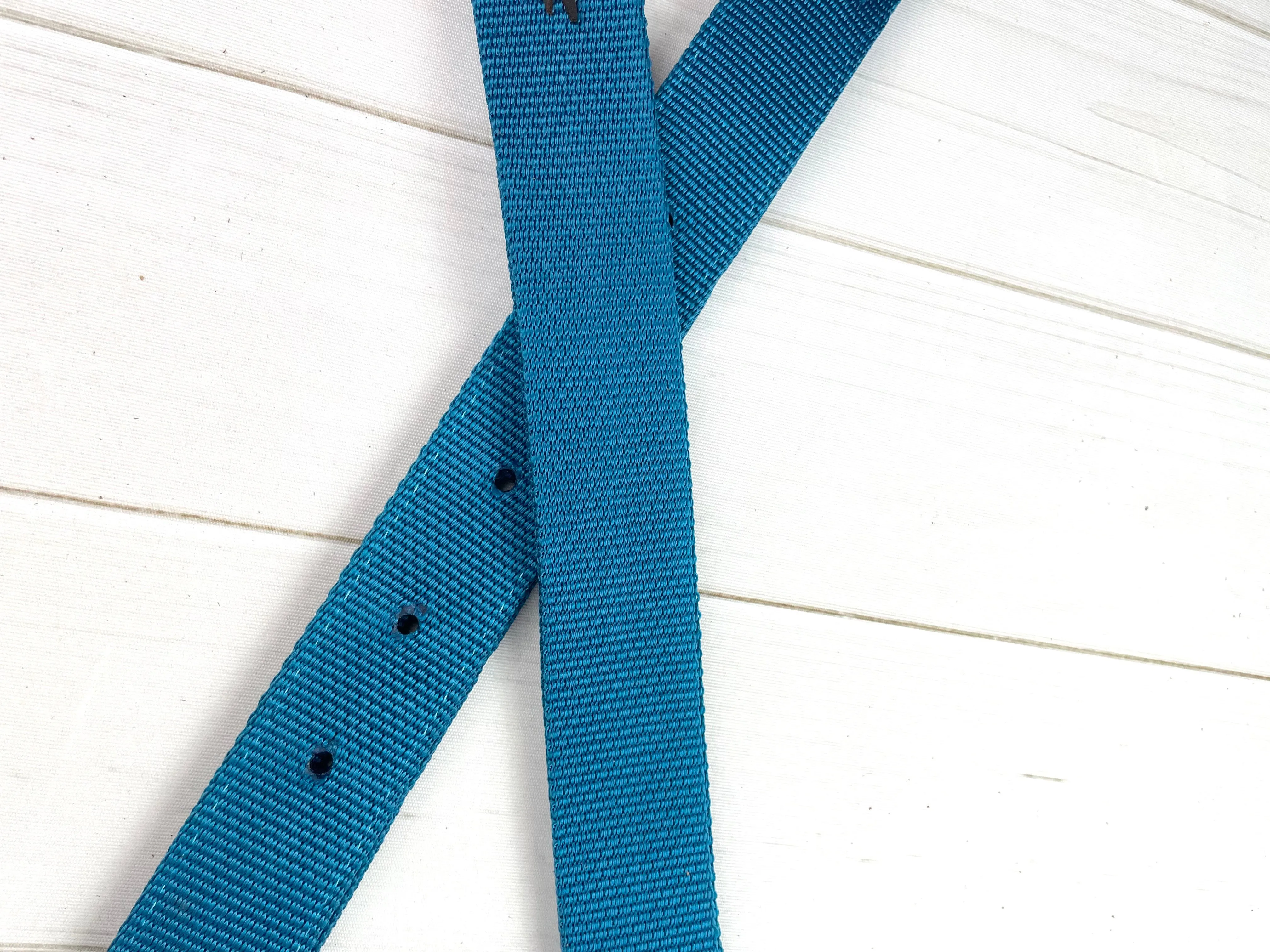 Teal Blue Cinch Strap Set